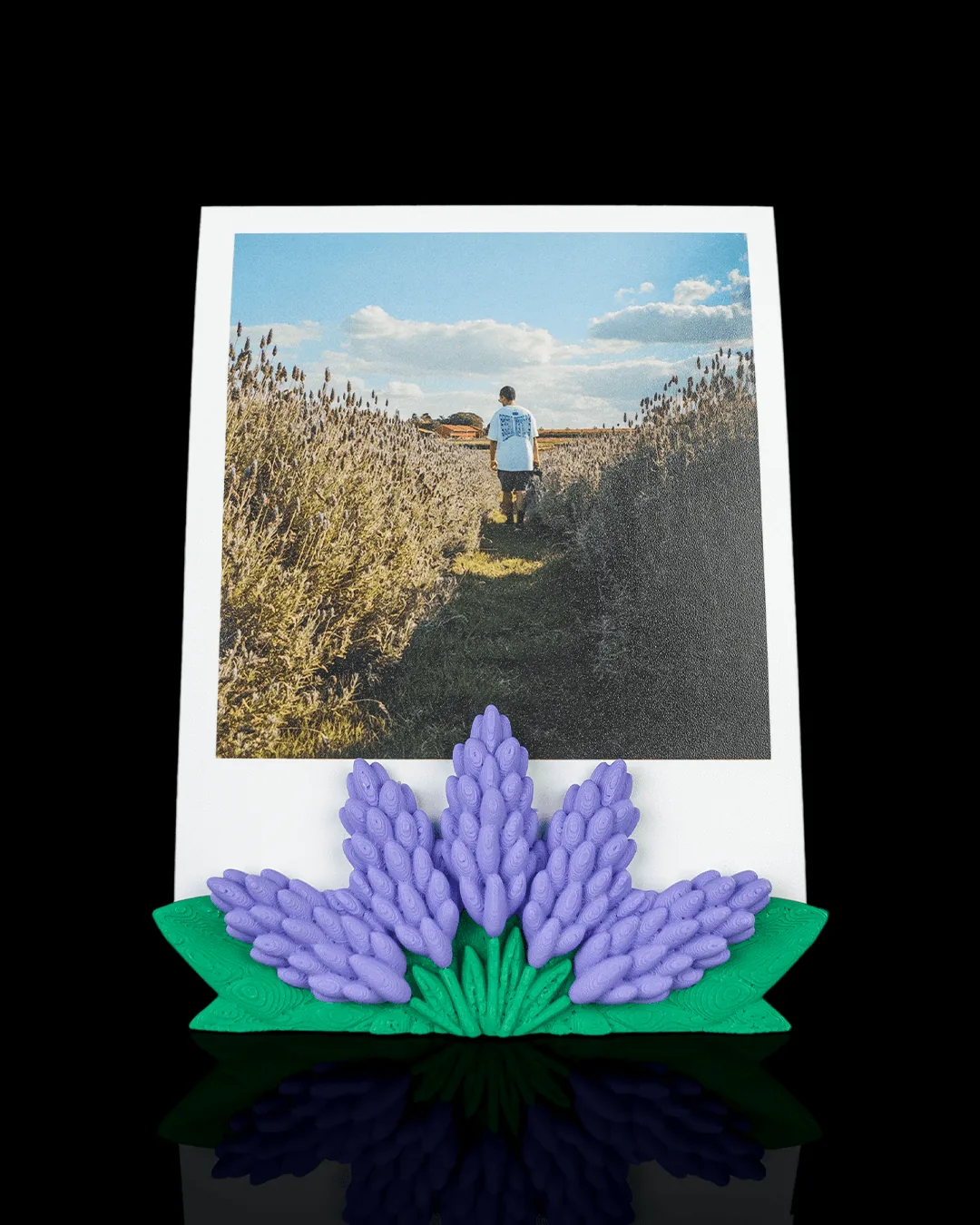 Duo de Lavanda (foto 1 de 8)