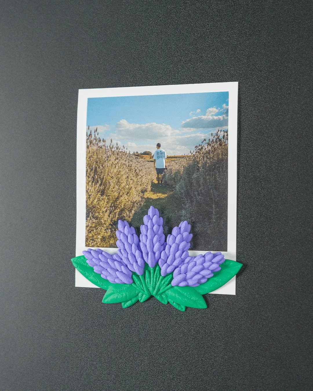 Duo de Lavanda (foto 8 de 8)