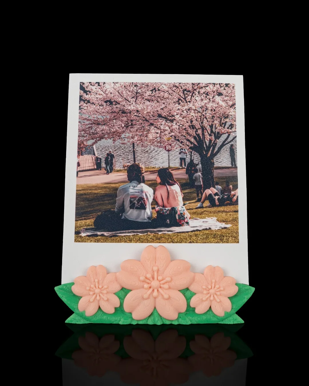 Duo de Sakuras (foto 1 de 7)