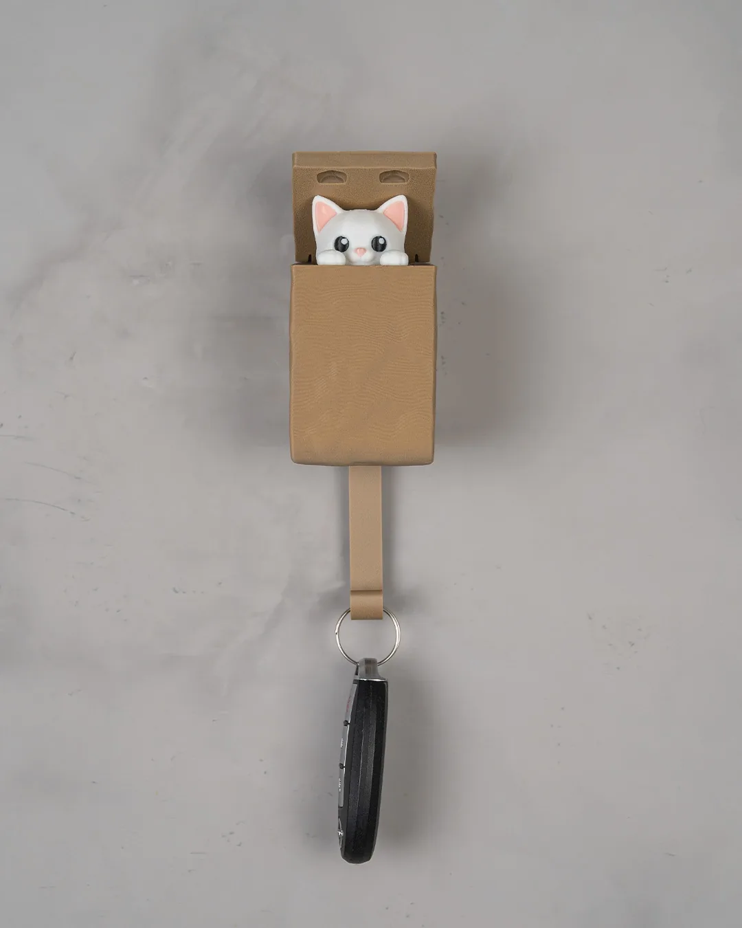 Gatinho na Caixa (foto 2 de 7)