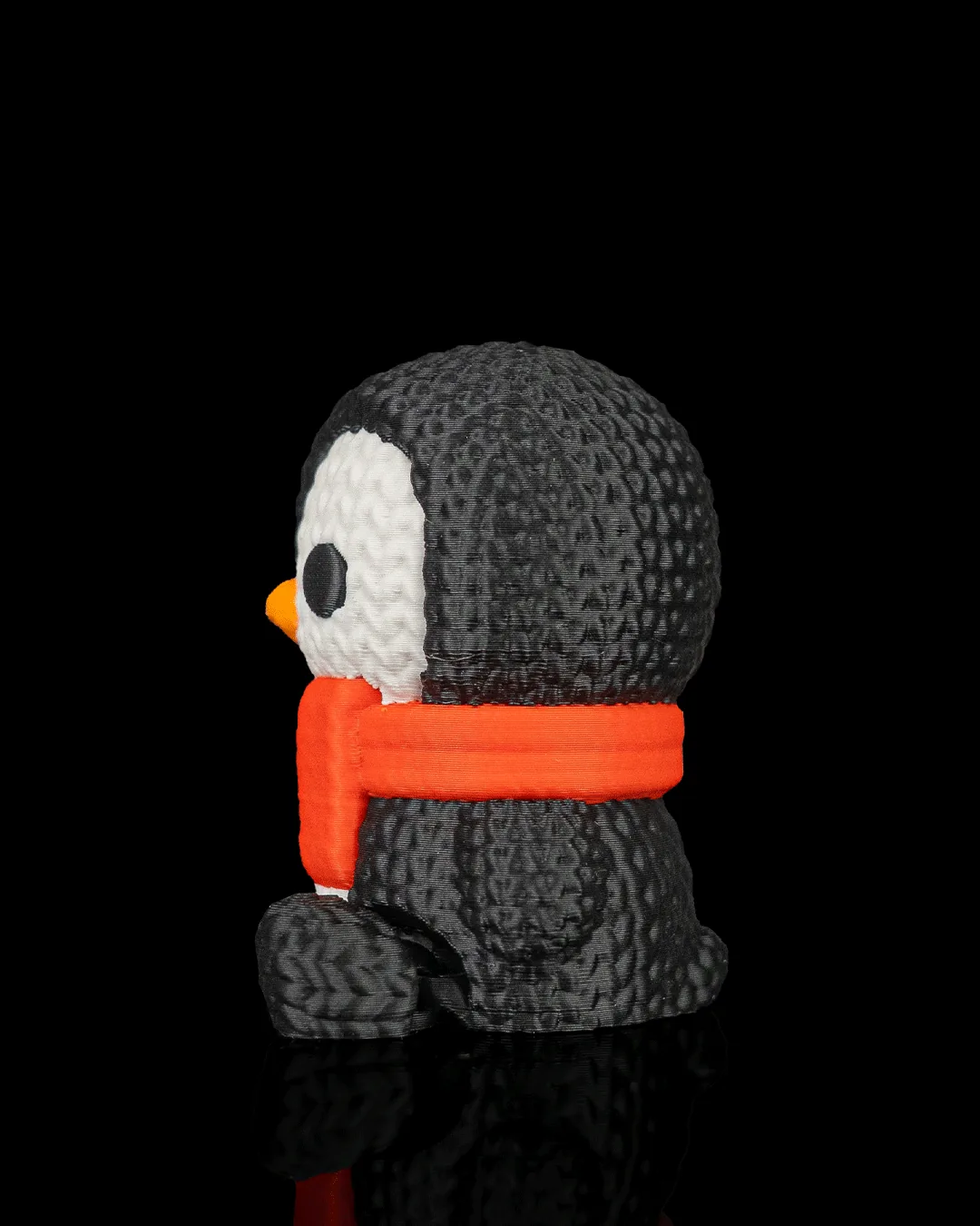 Pinguim Agasalhado (foto 4 de 6)